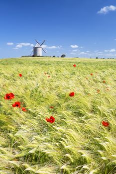 Vertical view of Windmill and wheat field, France, Europe.