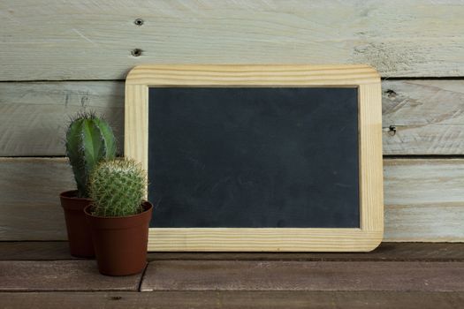 Cactus and blackboard set against a worn wooden background