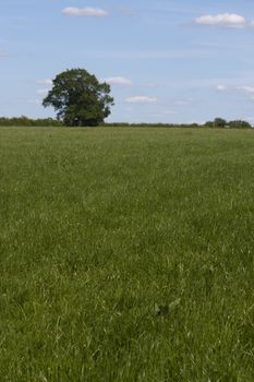 Country side taken from around Holmer Green, Buckinghamshire, England