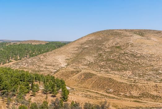 Hills of the Negev Desert in Israel