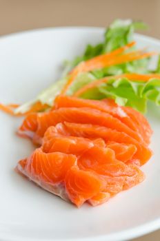close up salmon sashimi , japanese style cuisine