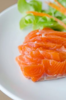 close up salmon sashimi , japanese style cuisine