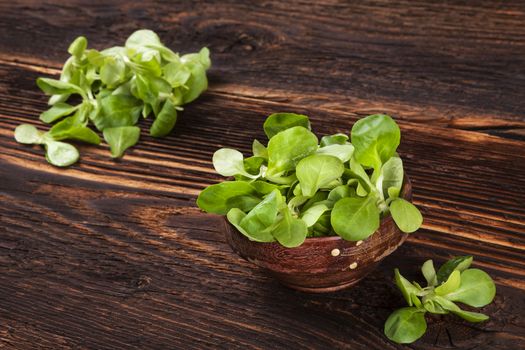 Fresh lamb's lettuce salad in wooden bowl on old wooden vintage background. Fresh salad, rustic vintage country style image.