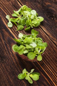 Fresh lamb's lettuce salad in wooden bowl on old wooden vintage background. Fresh salad, rustic vintage country style image.