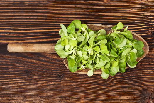 Fresh green field salad on wooden spoon on old wooden vintage background. Fresh salad, rustic vintage country style image.