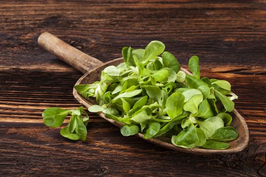 Fresh green field salad on old wooden spoon on rustic vintage wooden background. Fresh salad, rustic vintage country style image.