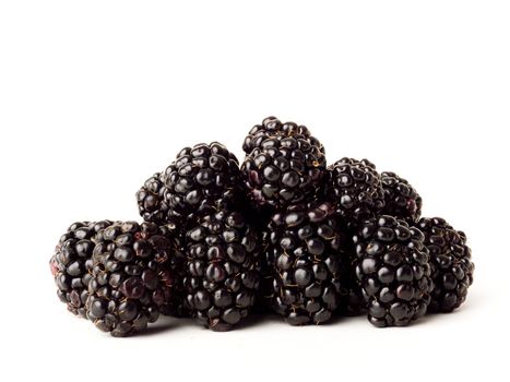 Blackberries isolated on a white background.