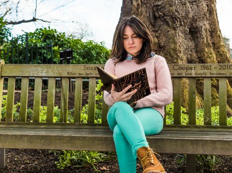 A Shot of a College Student Reading a Book on a Bench