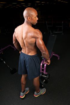 Toned and ripped lean muscle fitness man showing his back and triceps.