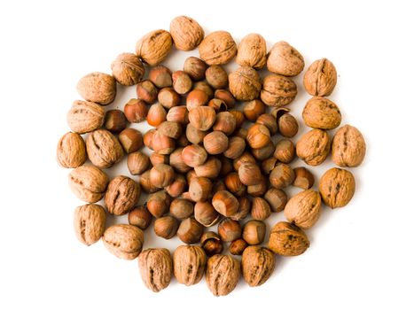 Group of walnuts and hazelnuts against white background.