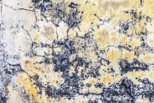 Grungy Concrete background cement old texture wall