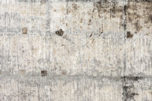 Grunge white background cement old texture wall