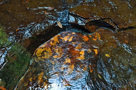 Background of wet rock with yellow orange patterns and water in the Australian bush