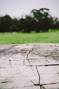 A wood background.