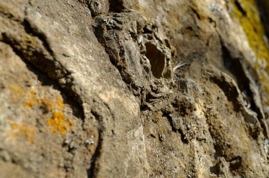 A rock face. The Blue Mountains, New South Wales, Australia.