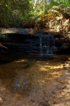 A little waterfall, one of dozens, along a stream of water in the Blue Mountains, Australia.