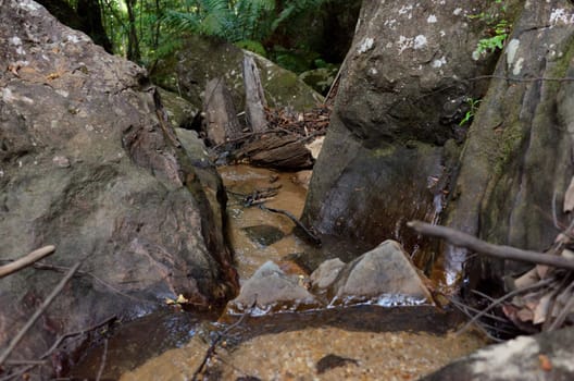 A rock face. The Blue Mountains, New South Wales, Australia.