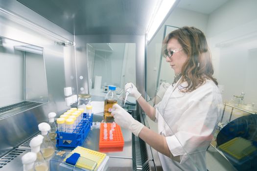 Female life scientist researching in laboratory, pipetting cell culture medium samples in laminar flow. Photo taken from laminar interior.