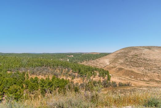 Hills of the Negev Desert in Israel