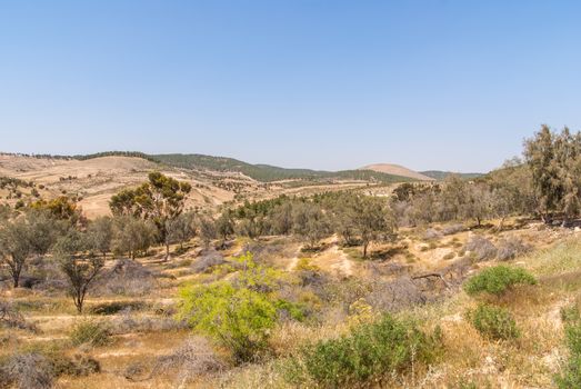 Metar, a community village northen Ber-Sheva, Israel