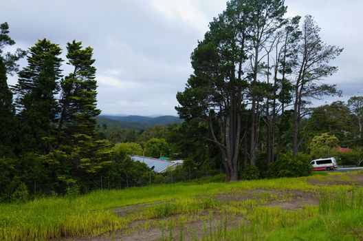 Landscape at the Blue Mountains, Australia