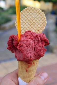 Colorful Ice Cream Cone. Forest fruits ice cream and Waffle