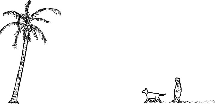 Outline cartoon of isolated man, dog and palm tree