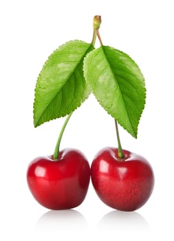 Two red cherries isolated on a white background