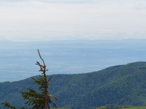 Overlooking the Vosges hills with the French Alps in the distance