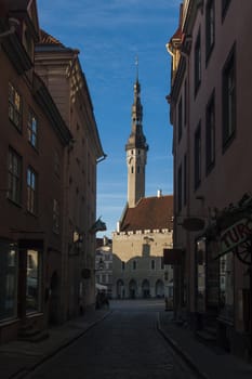 narrow street to middle ages city hall of Tallinn, Estonia







narrow street to city hall