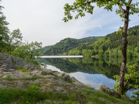 Early morning calm on lac du Kruth-Wildenstein looking over the lake past a rock edge