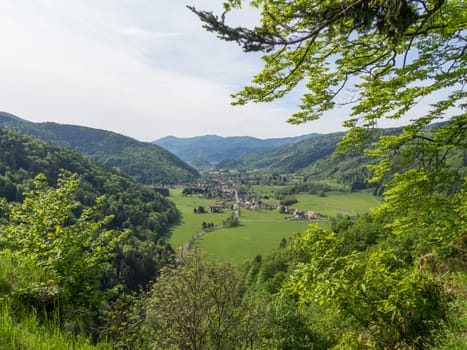 Looking through lush vegetation at a small french village in a valley