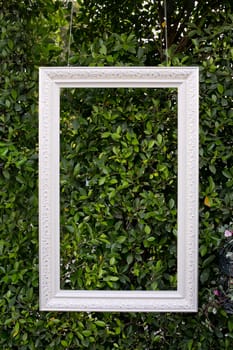 white color hanging photo frame isolated on green leaves