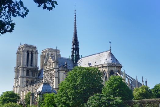 Notre dame from river seine