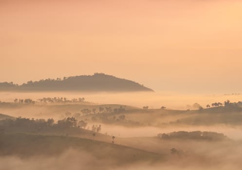 Fog covered mountains and forest in the morning. Northern Thailand is cold and cool in the morning.