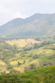 Forest destruction. The condition of forests on the mountains destroyed nature.