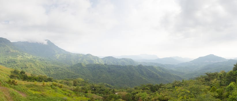 panorama forest and mountain.Mountains and trees in the wild long range.