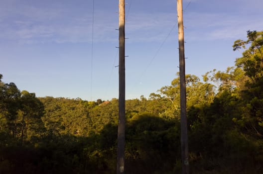 Photograph of the moon shining through electric poles on a sunny day in the Australian bush
