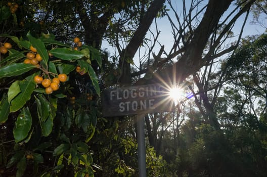 Photograph of sun shining from behind a signboard.