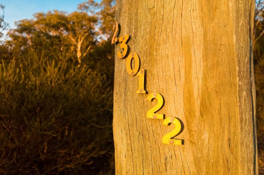 Photograph of telephone pole numbers in the sunset