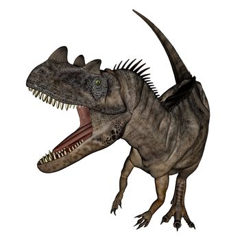 Ceratosaurus dinosaur roaring isolated in white background - 3D render