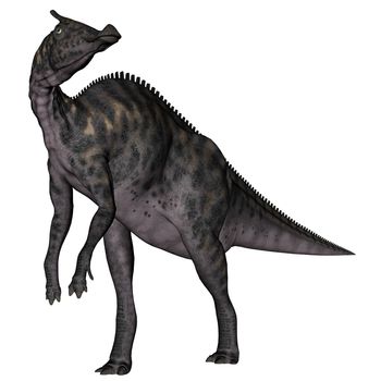 Saurolophus dinosaur standing isolated in white background - 3D render