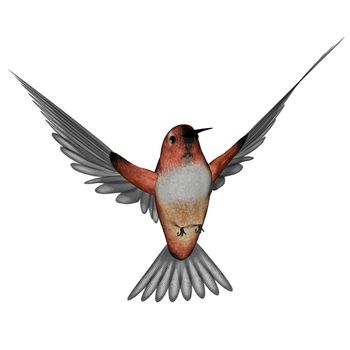 Allen hummingbird flying isolated in white background - 3D render