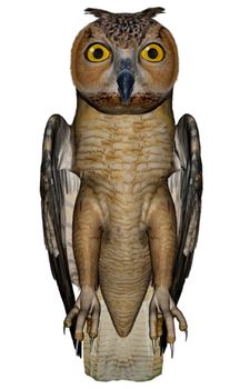 Eagle owl standing isolated in white background - 3D render