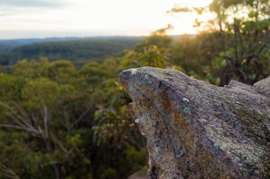 Rock formations in the Australian bush.