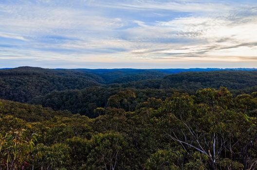 The Blue Mountains National Park, New South Wales, Australia