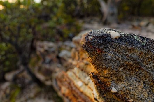 Rock formations in the Australian bush.