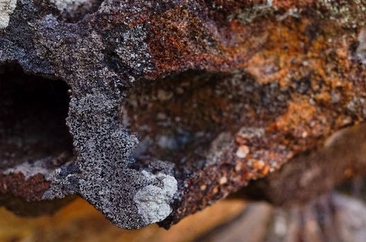 Weathered and grooved stone with lichen texture background.