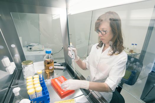 Female scientist researching in laboratory, pipetting cell culture medium samples in laminar flow. Life science professional grafting bacteria in the pettri dishes. Photo taken from laminar interior.