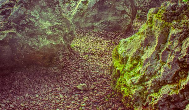 Photograph of some rocks on a natural background